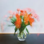 Pius Kim - @roadbang - Instagram