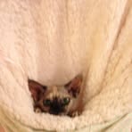 Pixie Blake - Facebook