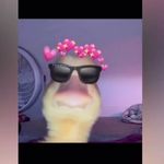 Maja 🦥💨 - @_maja_pixiewright - Instagram