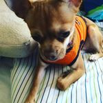 Pixie Long/Wright - @pixielongwright - Instagram