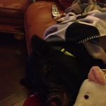 Pixie May Wright - @pixiemaywright - Instagram