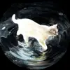 Pj - @pj.cook - TikTok