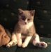 PJ Hahn - Facebook