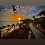 P.J. Reilly - @pjreilly363 - Instagram