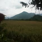 Jesus Placido Martinez - @placidomartinezjesus - Instagram