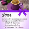 Placido Ramirez - @placido.ramirez29 - TikTok