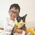 pokpok_cheung - @pokcheung2019 - Instagram