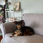 Polly Bean - @pollybean_ackerman - Instagram