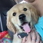 Polly Anna Booth - @polly.girl_ - Instagram