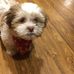 Polly Buck - Facebook
