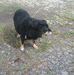 Polly Kirkbride Buck - Facebook