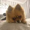pollybuck74 - @pollybuck74 - TikTok