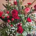 Polly Calhoun - Facebook