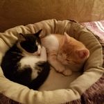 Polly & Carter - @polly_carter_829 - Instagram