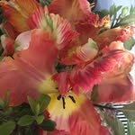 Polly Carter - @pollycartergardener - Instagram