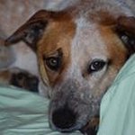 Polly Carter - @ccar6071 - Instagram