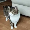 hollypollycottoncandy - @hollypollycottoncandy - TikTok