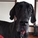 Polly Daugherty - Facebook