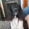 Paula Service - @pollydoddle - TikTok
