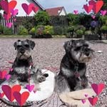 Polly Barnes - @pollywollydoddle - Instagram