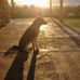 Polly Duffee - Facebook