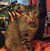 Polly Esther - Facebook