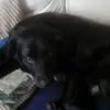 Polly.fowler - @polly.fowler - TikTok