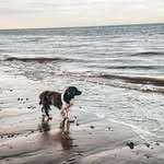 Polly Hill - @imyellingtrigger - Instagram
