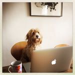 Polly_Hill - @pollyhill87 - Instagram