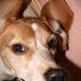 Polly Hill - Facebook