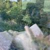 Polly Hodges - @pollyhodges5643 - TikTok