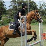 Polly Hodges - @polly2210 - Instagram