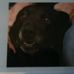 Polly Yann Holcomb - Facebook