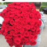 Polly Horn - @polly5whornds - Instagram