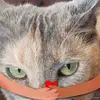 Polly Jones - @polly.jones96 - TikTok