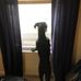 Polly Kirk - Facebook