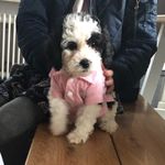 Polly kramer - @und_dann_kam_polly_ - Instagram