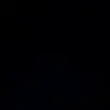 Pollyanna Lang - @pollyanna.lang - TikTok