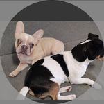 ✨polly e leone✨ - @_polleon_ - Instagram