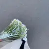 pollylevins02 - @pollylevins02 - TikTok