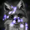 pollyli - @pollyli3 - TikTok
