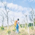 玻璃 - @pollyli_ - Instagram