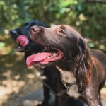 @polly_lotties_adventures - Instagram