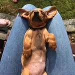 Polly&Lottie - @pollypupperandco - Instagram