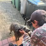 pea - @pollymaxwell - Instagram