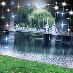 Polly Maxwell - @polly.maxwell1 - Instagram