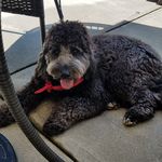 Polly May - @polly_may_therapy - Instagram