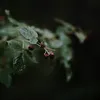 Polly May - @pollymayxx - TikTok