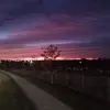 Molly Meadows - @mollymeadows8 - TikTok