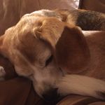 Polly Mitchell Ranson - @pollybmitchell - Instagram